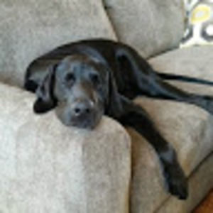 Meet your Posher, Kendra